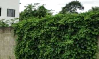 Imagem 6: Terreno 102.640m², Santa Cecília em Cariacica/ES