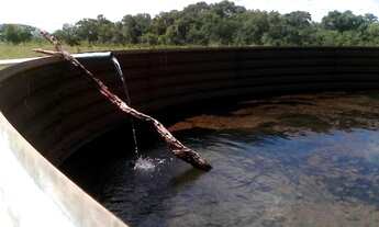 Imagem 7: Fazenda em buritizeiro 5.386 hectares 70.000.000.00 ( ney