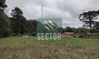 Imagem 3: Fazenda / Sítio / Chácara em Rio de Una - São José dos Pinhais