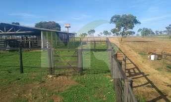 Imagem 6: Fazenda 80 Alqueires dupla aptidão lavoura/pecuária em Corumbaíba - Go