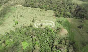 Imagem 4: Fazenda no Pará - Santa Isabel - 196 ha (40 alq