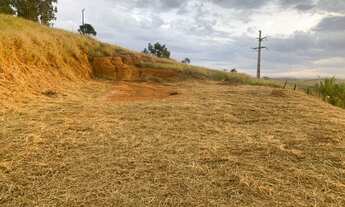 Imagem 4: 02 Ótimos lotes!