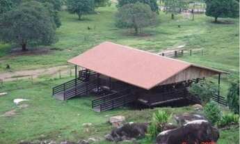 Imagem 6: Rondolandia-MT.Fazenda TOP com 149.132 Hectares.Porteira Fechada Aptidão:Pecuária