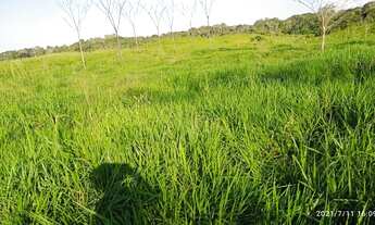 Imagem 13: Vendo ou troco uma Terra em Feijó