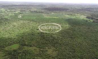 Imagem: Fazenda no Pará - Barcarena - 161 ha (33