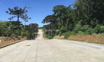 Imagem 3: Excelentes terrenos no Santo Antão!