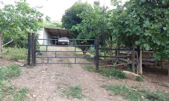 Imagem 2: Chácara de 5 Alqueires em Varjão