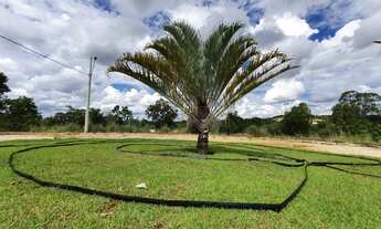 Imagem 3: Oportunidade. Vendo Lotes 1.000m² Apenas 6.875 + Parcelas