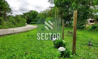 Imagem 2: Fazenda / Sítio / Chácara em Rio de Una - São José dos Pinhais