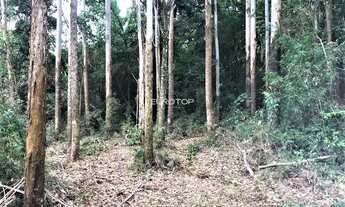 Imagem 7: Linda área nos Caminhos de Pedra!