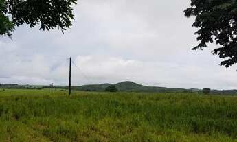Imagem 3: Fazenda no município de barro Alto, Dupla aptidão