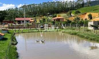 Imagem 7: Belíssima Chácara em Condomínio Rural Fechado à 5 min do Centro de Canelinha!