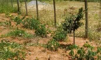 Imagem 5: Oportunidade lotes 1000m² para 2 pessoas