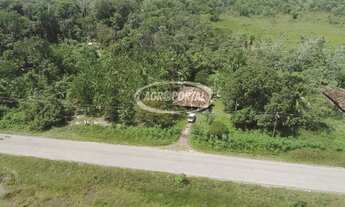 Imagem 7: Fazenda no Pará - Igarapé Miri - 294 ha (60 alq