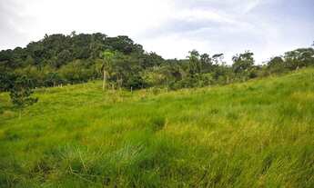 Imagem 4: 90.000 m² de Terreno no Ribeirão da Ilha!!