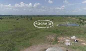 Imagem 4: Fazenda no Pará - Viseu - 6648 ha (1373 alq