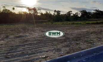 Imagem 4: Área Industrial à venda