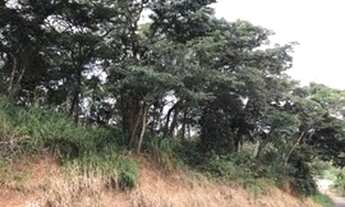 Imagem 2: Terreno em Melo Franco - Brumadinho