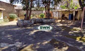 Imagem 4: Terreno jardim simus