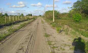 Imagem: 09 terrenos juntos em Santa Rita