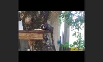 Imagem 2: Mini sítio Casa com 1 dormitório