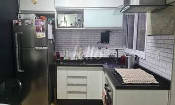 Imagem 3: Santo André - Apartamento Padrão - Vila Pires