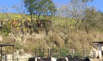 Imagem 6: Fazenda- venda - Rio Claro - RJ