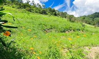 Imagem 3: Terreno em Campo do Coelho