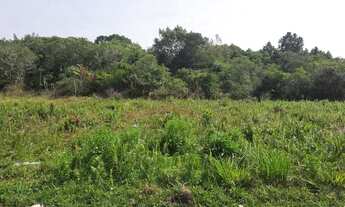 Imagem 4: Terreno para venda