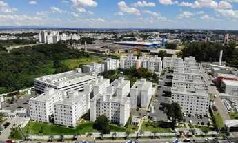 Imagem 6: Alugo Apartamento Pinheirinho