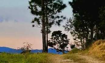 Imagem 2: Terreno Mágico em Mairiporã! &quot