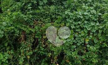 Imagem 6: Terreno à venda, 1390 m² por R$ 5.000.000 - Joá - Rio de Janeiro/RJ