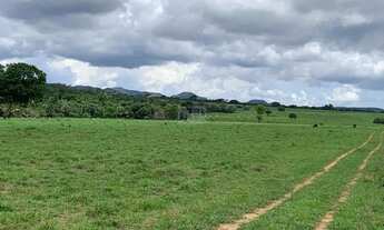 Imagem 4: ÁREA - RODOVIA GO, URUAÇU/GO