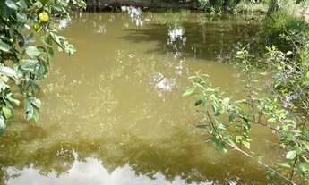 Imagem 4: Sítio 5.68 alqueires Abadiânia