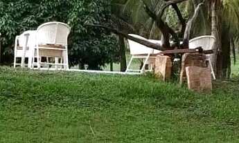 Imagem 7: Fazenda para Venda em Andaraí, Centro, 9 dormitórios, 1 suíte, 1 banheiro