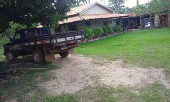 Imagem 7: Sítio na região de Cedral depois da acorizal 15 hectares