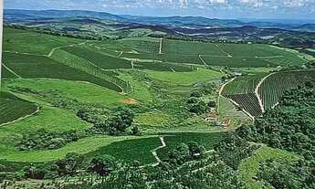 Imagem 3: Linda fazenda para venda em Bom Sucesso MG