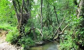 Imagem: Lote barato em Ibiúna, pronta documentação