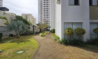 Imagem 3: Apartamento para alugar no Edifício Pateo Alegro, Terra Bonita - região Sul de Londrina, c