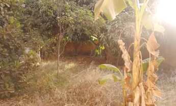 Imagem 4: Terreno 600m² escriturado Nova Goa Planaltina - GO