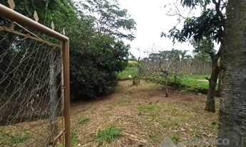 Imagem 7: Chácara 1000 metros São Miguel Arcanjo II - Tanque de Peixe - Piscina - Confira!