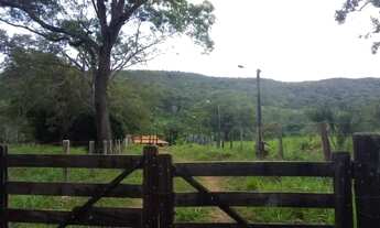 Imagem 4: Fazendinha 14 alqueires