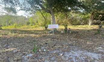 Imagem 2: Vende- se terreno em Massagueira