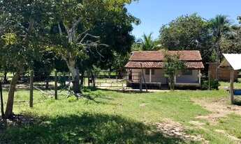 Imagem 4: Fazenda a venda em Crixas / Goiás