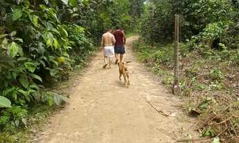 Imagem 5: Terreno na beira do rio
