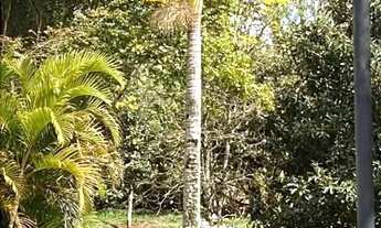 Imagem 7: Sítio mobiliado com vista para a Pedra do Baú