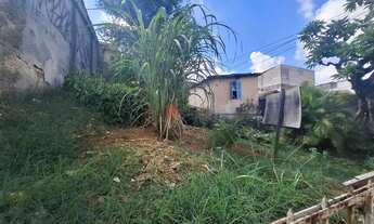 Imagem: Terreno de 10 x 50 na Vila Invernada