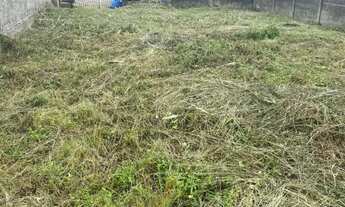 Imagem 7: Terreno plano documento todo ok 10x50 500m2 bairro alto