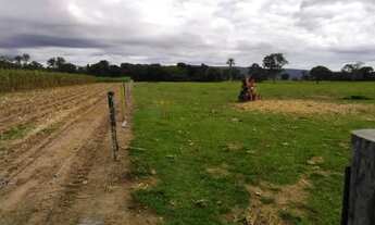 Imagem 6: FAZENDA A VENDA EM VILA APARECIDA. MUNICÍPIO DE CÁCERES