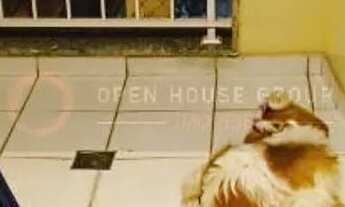 Imagem 4: Open House Vende no Condomínio Chácara Pendotiba 2 quartos, vaga, Lazer completo!